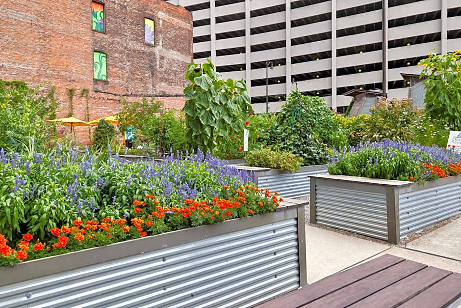 Hotel Indigo Detroit Downtown, an IHG Hotel By IHG