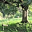 Bed and Breakfast Casanova de Sant Miquel