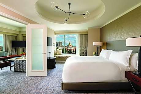 Park View Suite, Club Lounge Access, 1 Bedroom Larger Suite, 1 King, Sofa Bed