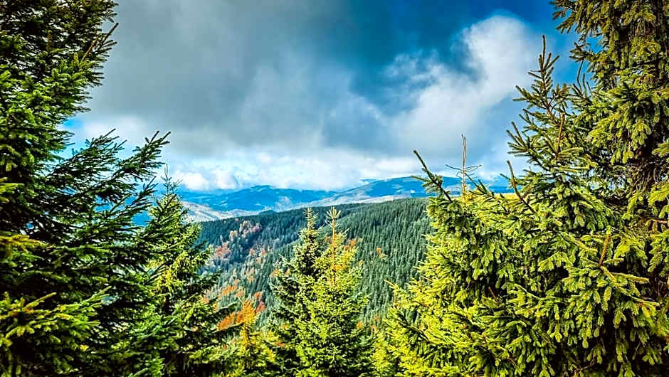 Chata pod Mravenečníkem