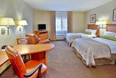 Studio Suite with Two Double Beds