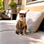Hotel Sommerer - Hike & Bike in Saalbach, Joker Card inkl