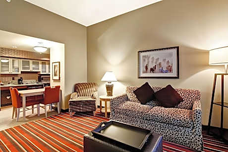 1 King Bed Studio Suite Nonsmoking