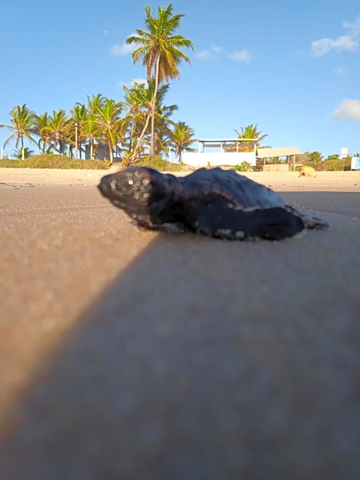 Pousada A Casa Portuguesa