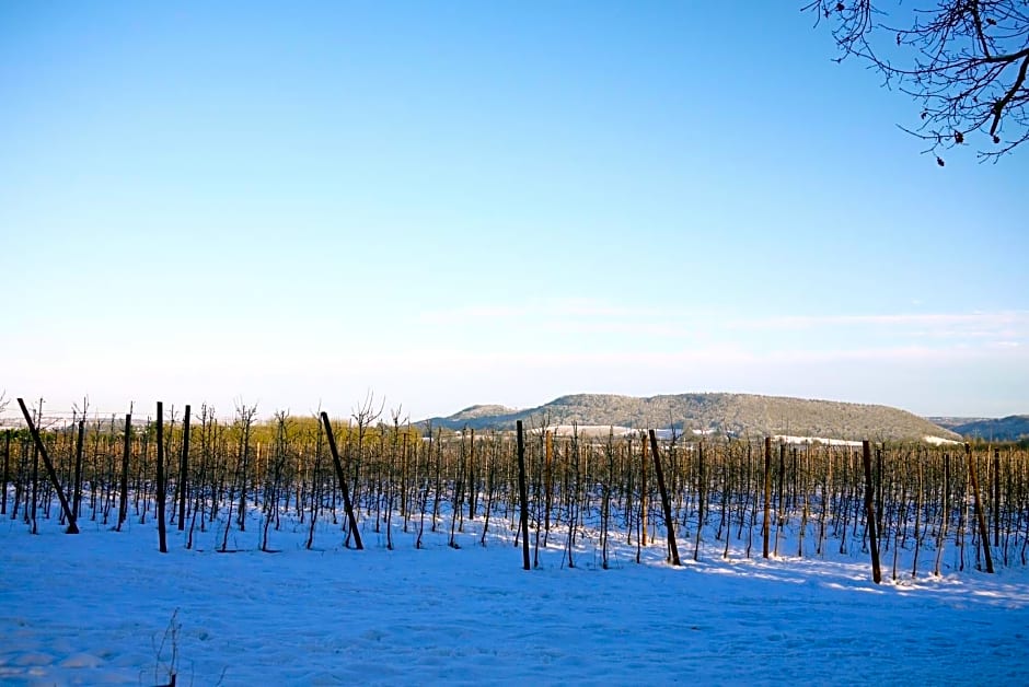 Glewstone Court Country House Hotel