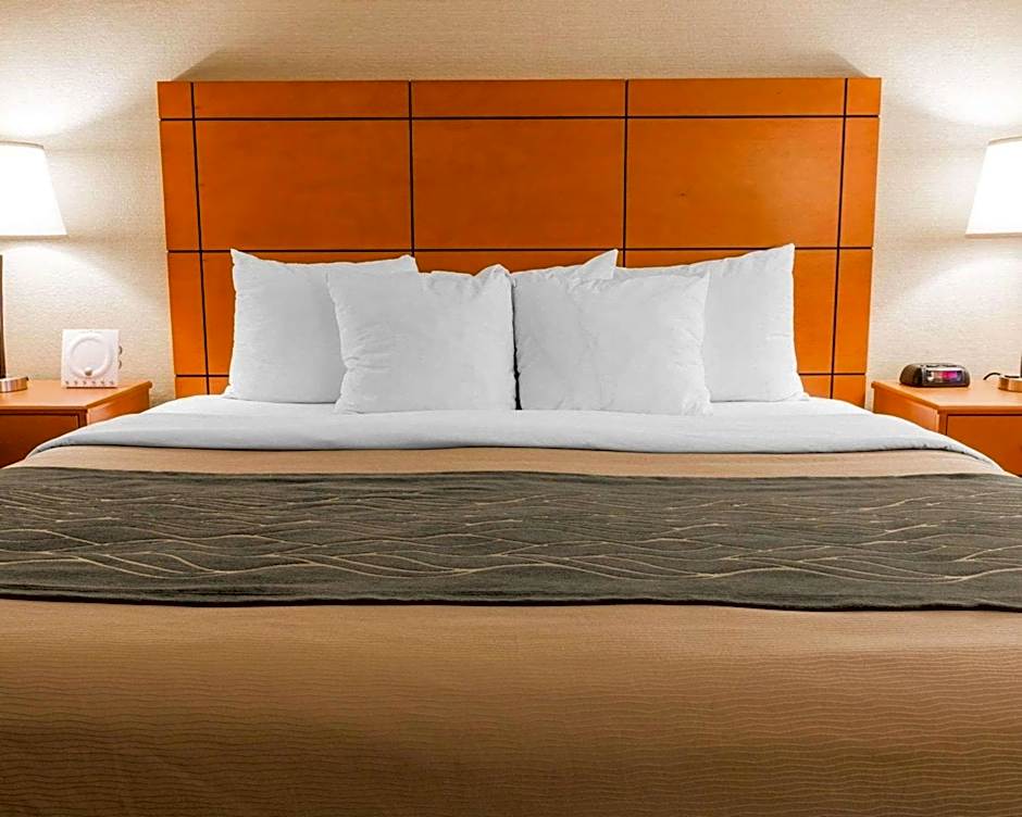 Comfort Inn Metro Airport Romulus