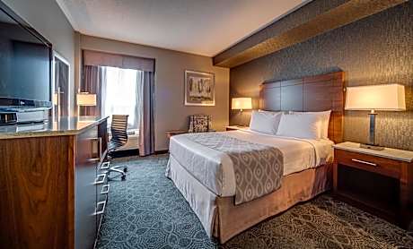 Standard Room with 1 Queen Bed