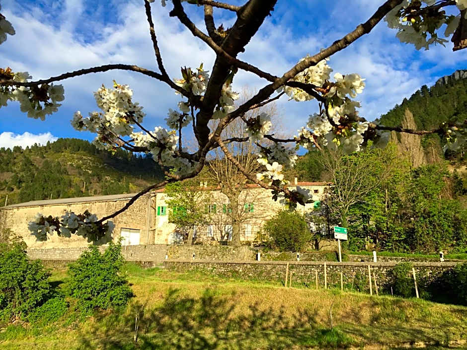 Photo 1 of 50 of Moulin A