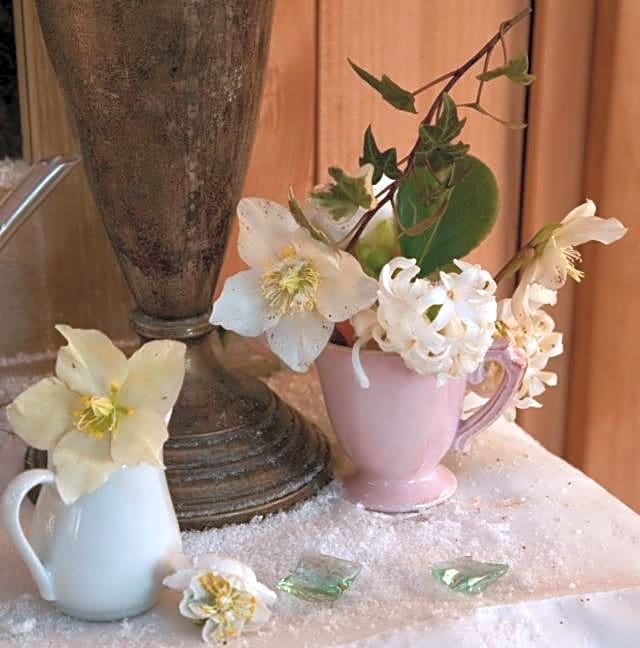 Chambres "Au Jardin"