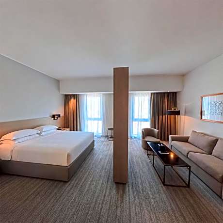 Junior King Suite with Sofa Bed