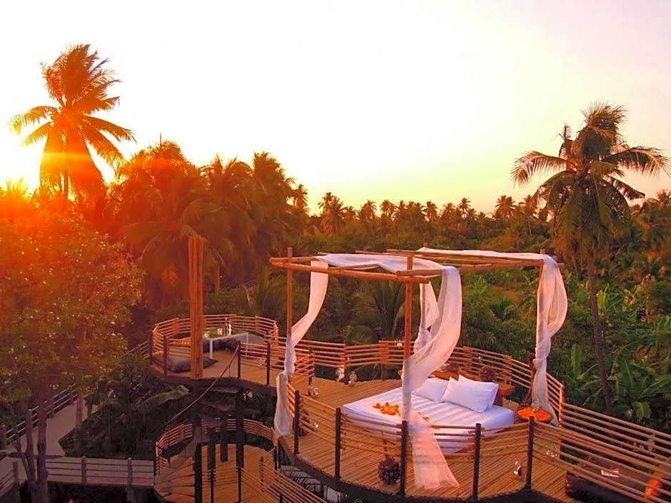 Bangkok Tree House