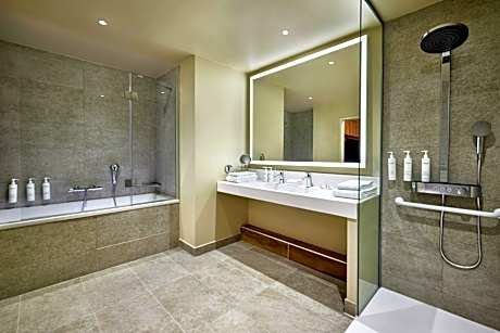 Suite, 1 Double, Sofa bed