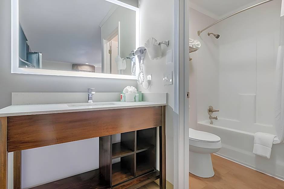 Suburban Studios at the University