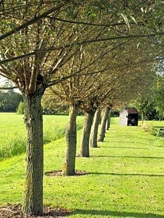 B&B het Boerenerf Ruinerwold, Drenthe