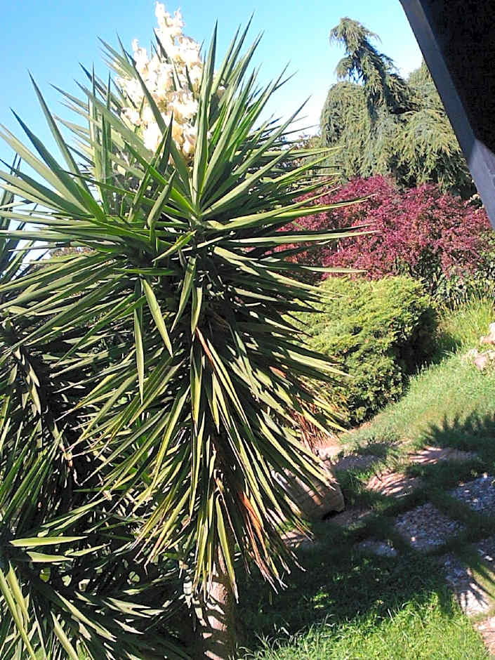 B&B Villa Sans Souci