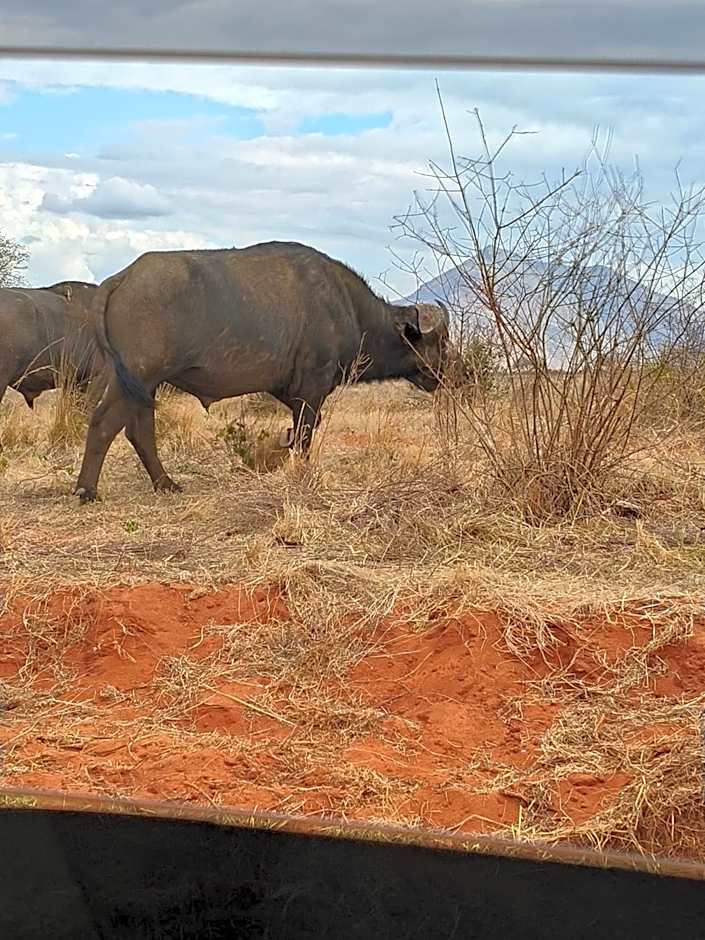 Tausa Tsavo Eco Lodge