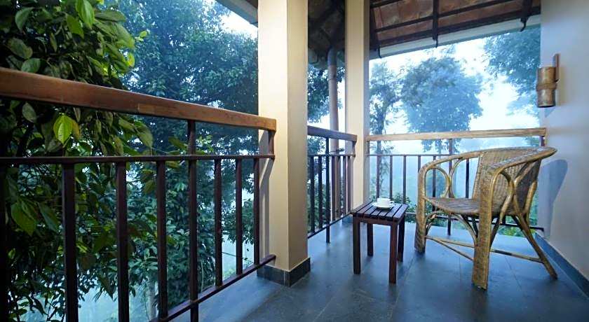 After the Rains - Rainforest Lodge