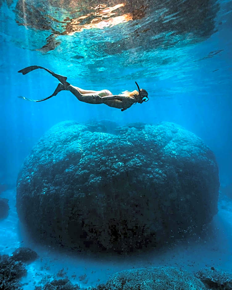 Wilson Island