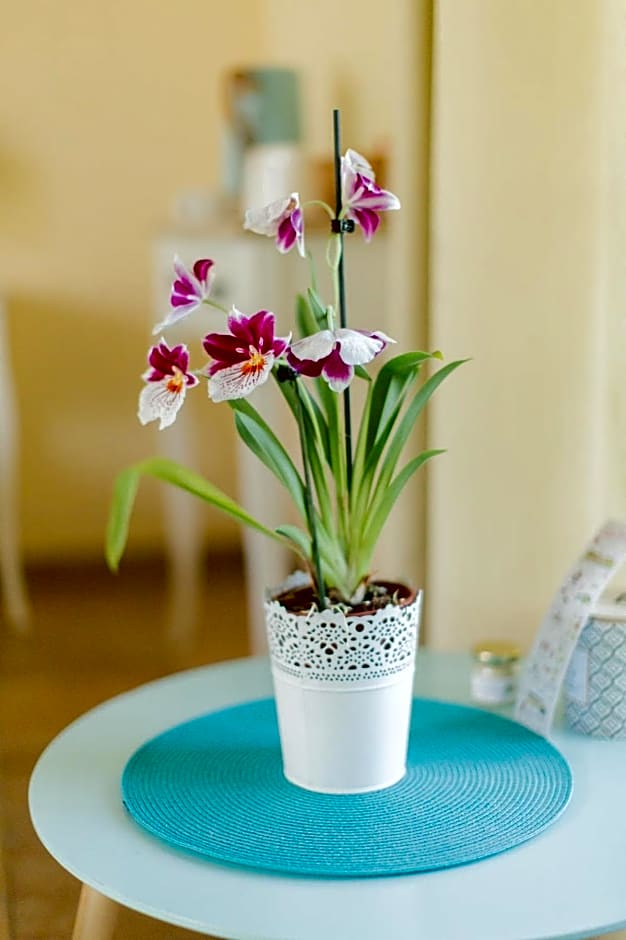 La Tour de la Conterie