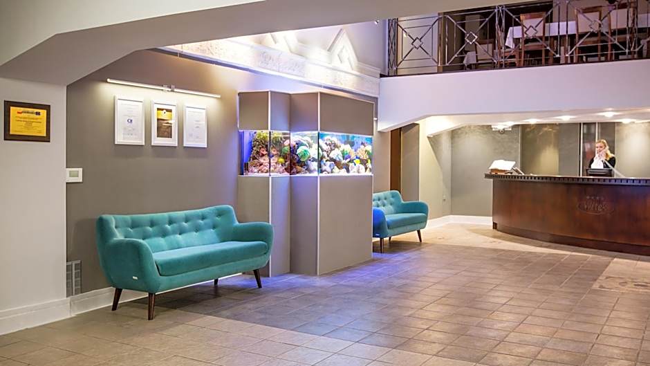 Hotel Witek