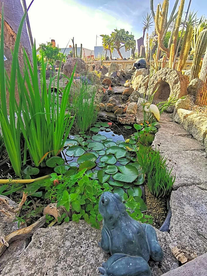 Villa Olivia Residence Ischia - Monolocali e Bilocali nel Verde con Piscine e Vista Mare