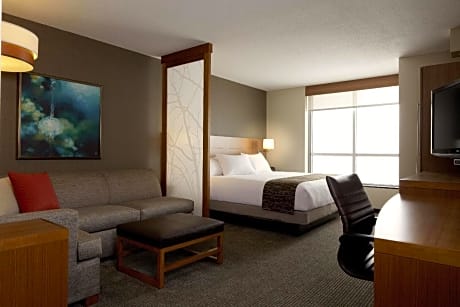 King Room with Sofa Bed