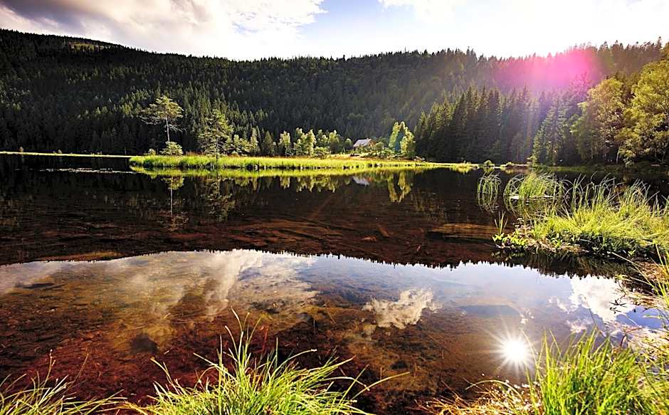 Ferienhotel Hubertus