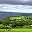 Clareville House B&B