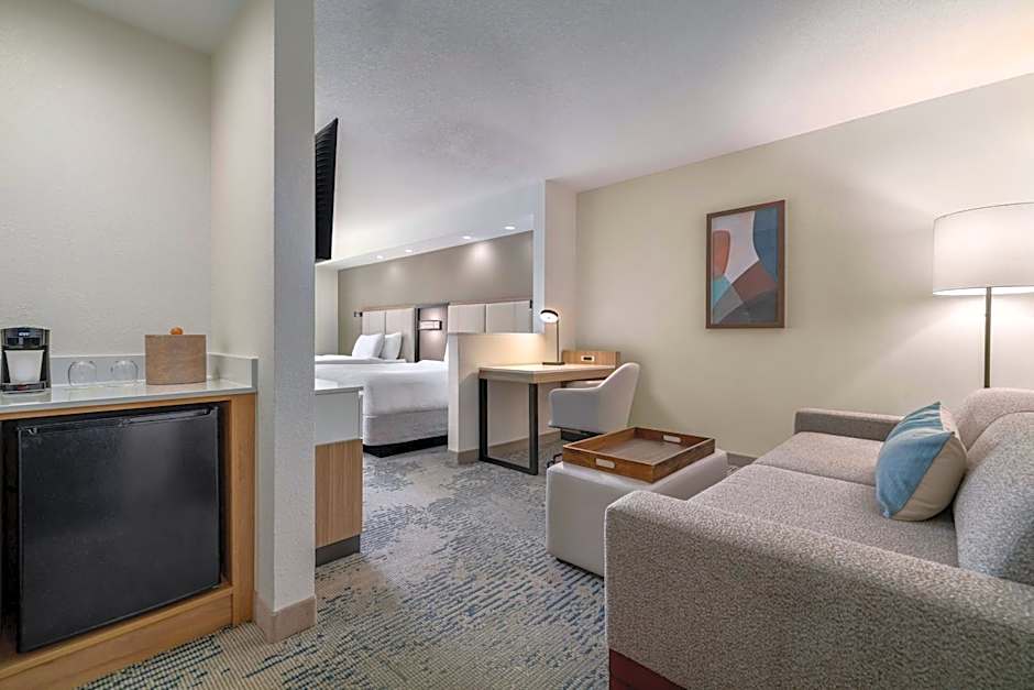 SpringHill Suites by Marriott Tampa Brandon