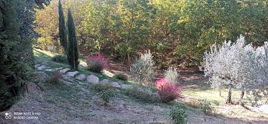 Rocca degli Olivi