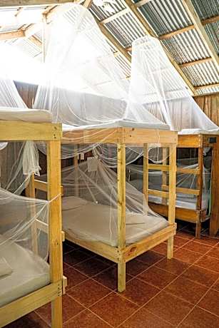 Bunk Bed in Mixed Dormitory Room
