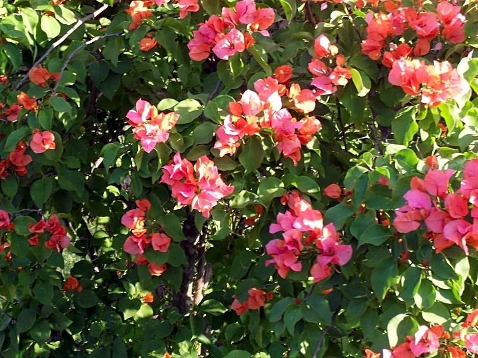 Zuider Zee Guest House