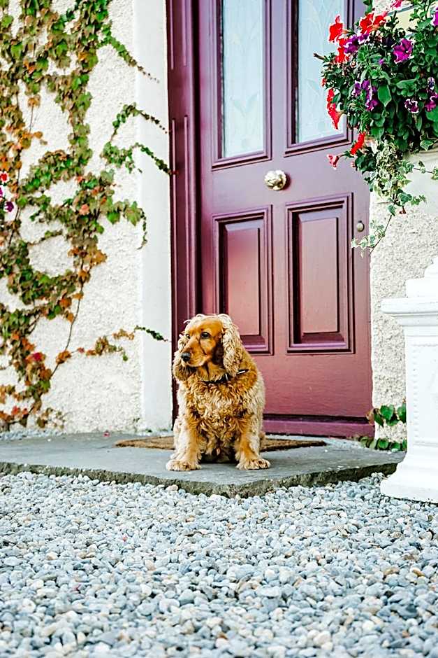 Abbeyview House B&B and Glamping