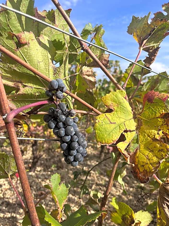 L'abbaye Saint Michel