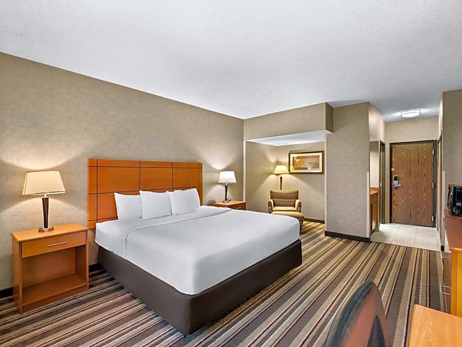 Comfort Inn Metro Airport Romulus