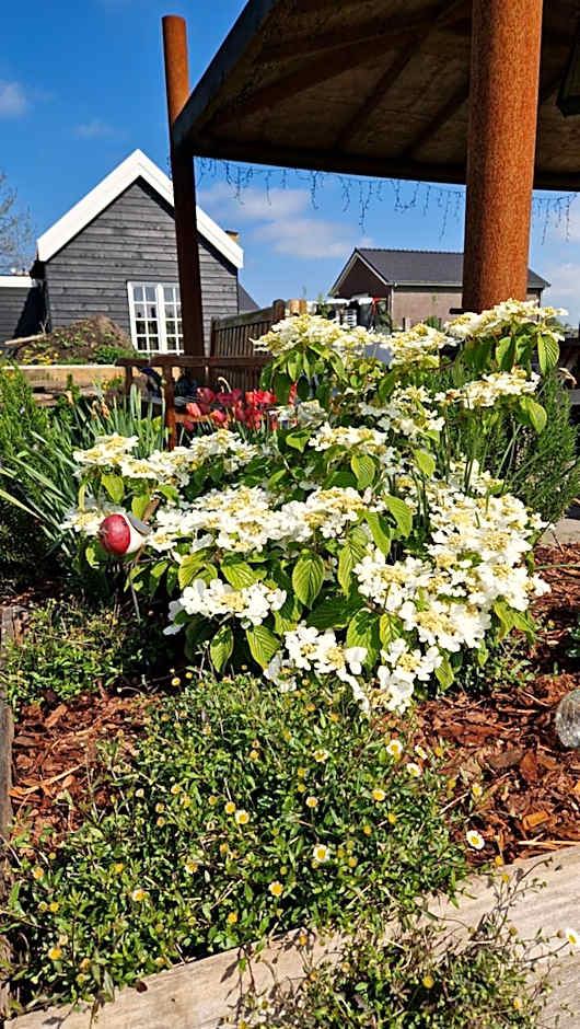 Bed & Breakfast Donna