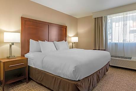 King Suite with Sofa Bed