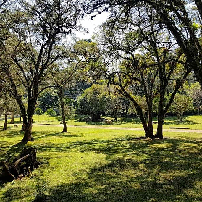 Cabana Rústica - Sitio Kayalami