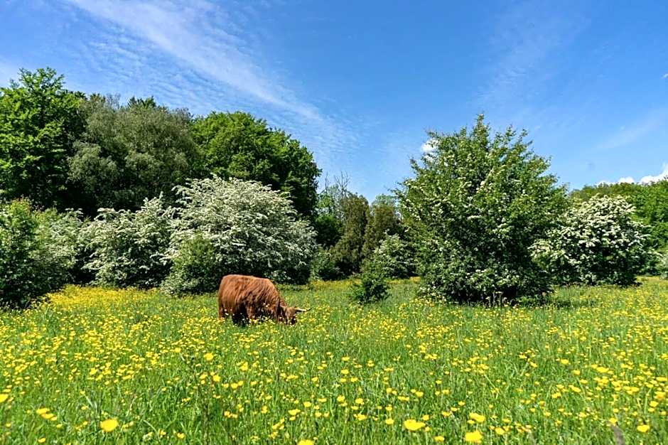 EuroParcs Het Amsterdamse Bos