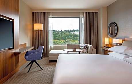 King Room with Park View