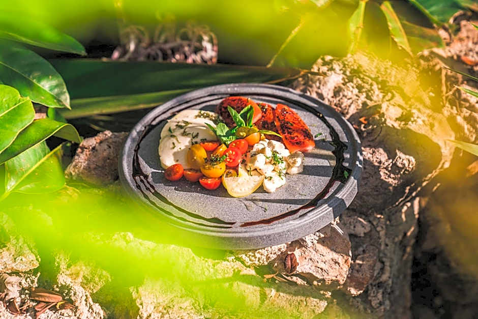 Destino Mio Mayan Jungle Retreat