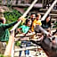 Hotel Selwo Lodge - Animal Park Tickets Included