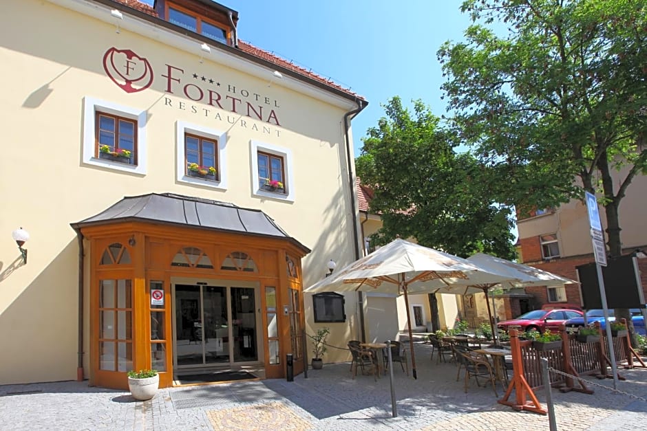 Hotel Fortna