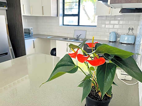 Mount Pleasant Suites