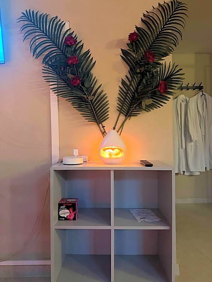 Le Cocon SPA Évasion Privée - jacuzzi -