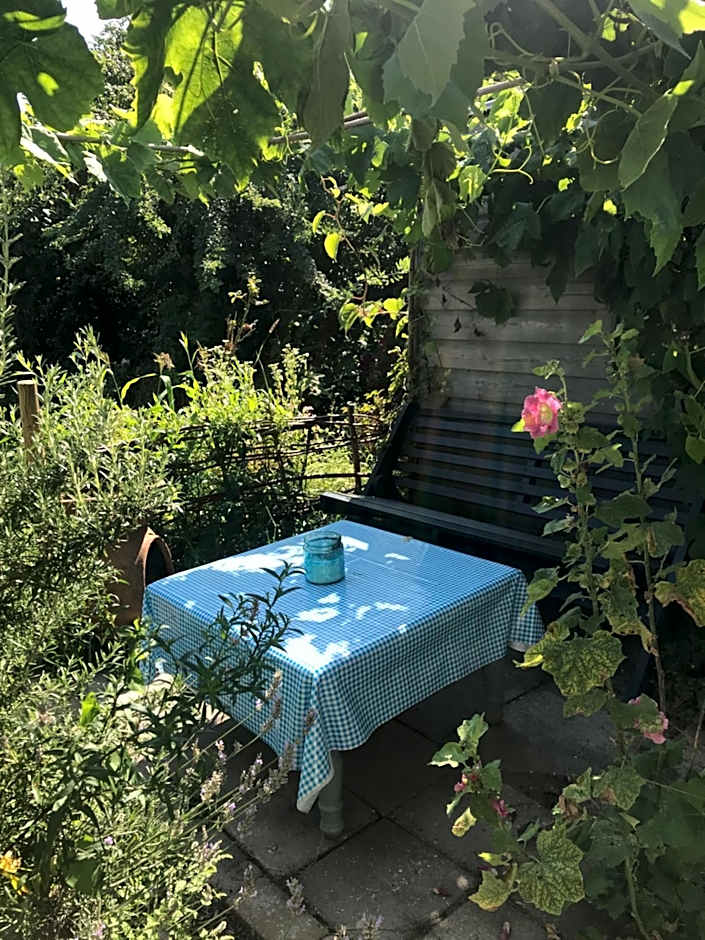 Rosa's zonnige huisje bij duinen bos en strand