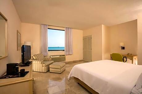 Executive Room, 1 King