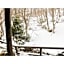 Mori no RyoTei Mount Bandai - Vacation STAY 43099