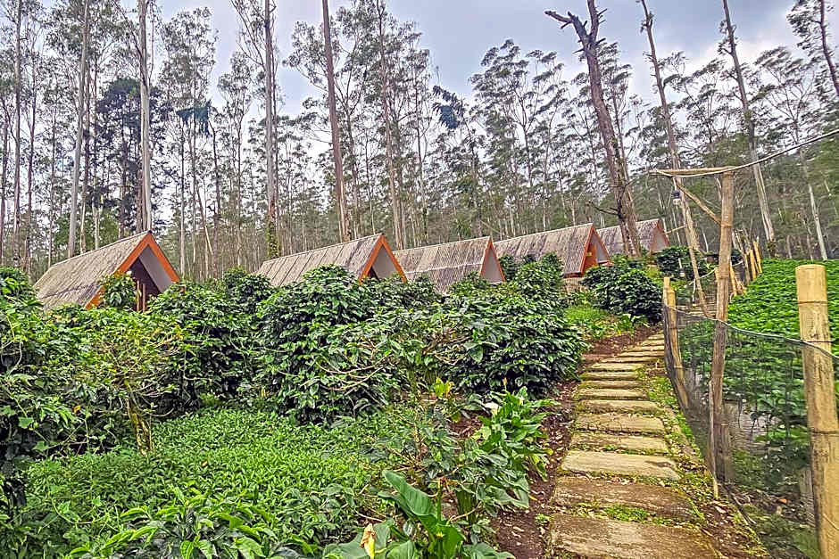 Cigadog Residence Mitra Reddoorz