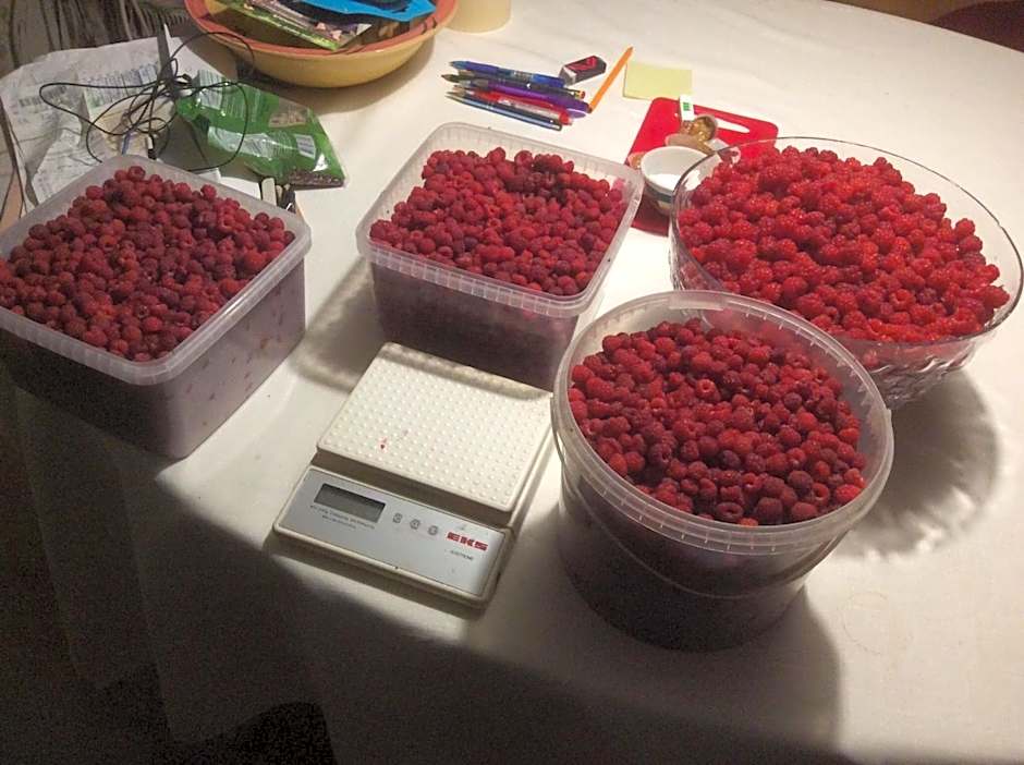 STF Vandrarhem Edsbyn